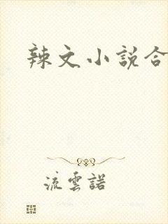 辣文小说合集