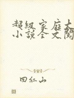 超级家庭大杂烩小说全文阅读封面