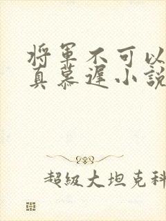 将军不可以魏云真慕迟小说笔趣阁