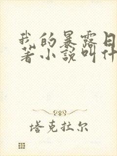 我的暴露日记原著小说叫什么封面