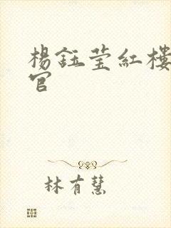 杨钰莹红楼醉高官封面