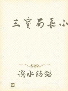三宝局长小说封面