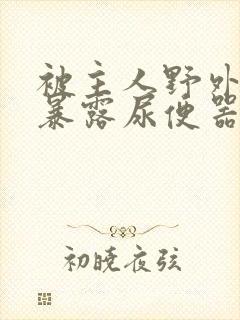 被主人野外调教暴露尿便器