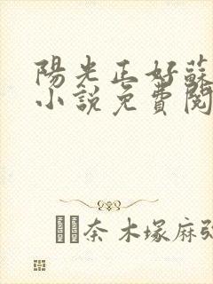 阳光正好苏玥玥小说免费阅读无弹窗