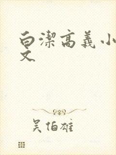 白洁高义小说全文