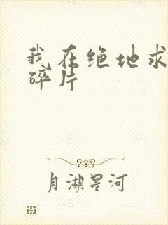 我在绝地求生捡碎片