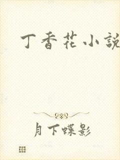 丁香花小说
