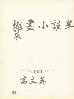 燃尽小说半截白菜