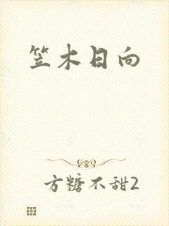 笠木日向封面