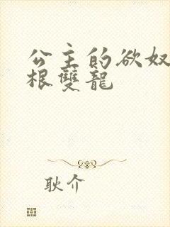 公主的欲奴h四根双龙