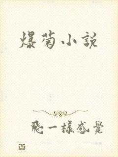 爆菊小说