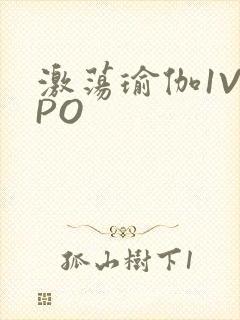 激荡瑜伽1V2PO