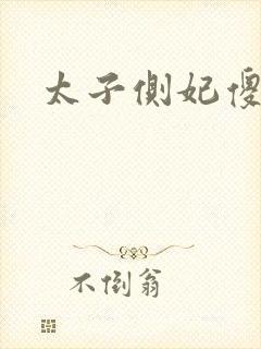 太子侧妃傻乎乎封面