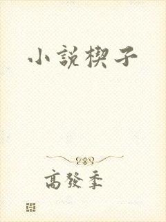 小说楔子封面