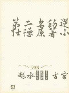 第二名的逆袭高仕德原著小说