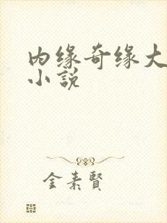 内缘奇缘大团圆小说