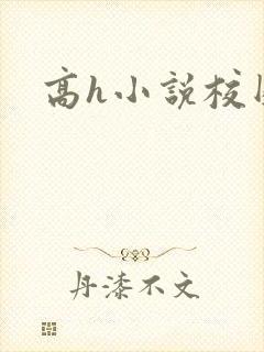 高h小说校园封面