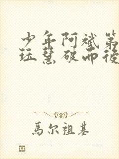 少年阿斌第二部珏慧破而后立封面