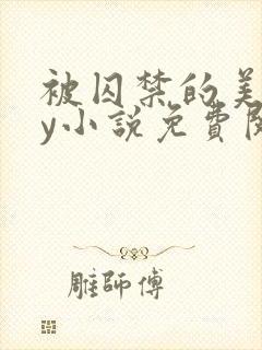 被囚禁的美人by小说免费阅读
