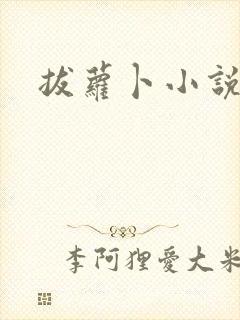 拔萝卜小说封面
