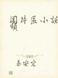 图片区小说区视频
