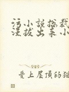 污小说总裁整夜没拔出来小说在线阅读