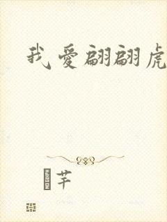我爱翩翩虎少封面