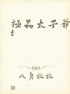 极品太子爷txt封面