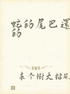 蛇的尾巴还在我的
