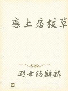 恋上痞校草封面