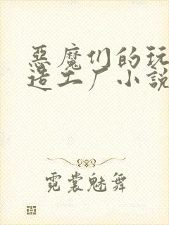 恶魔们的玩具改造工厂小说