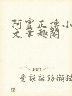 阿宾正传小说全文笔趣阁