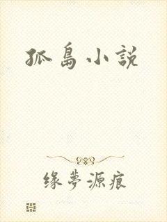 孤岛小说