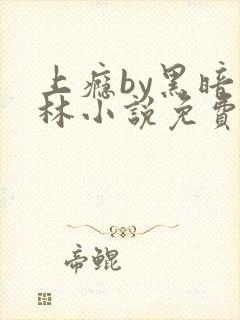上瘾by黑暗森林小说免费