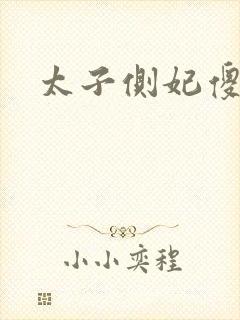 太子侧妃傻乎乎封面