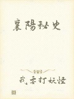 襄阳秘史封面