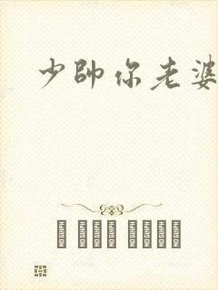 少帅你老婆