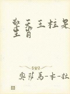 擎天玉柱是什么生肖封面