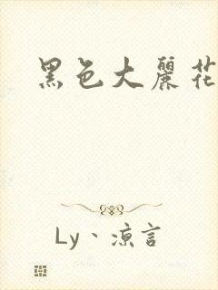黑色大丽花图片