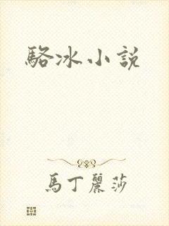 骆冰小说