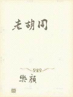 老胡同封面