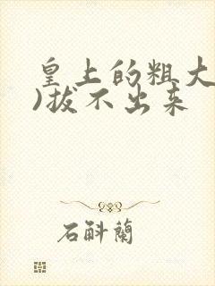皇上的粗大(h)拔不出来封面