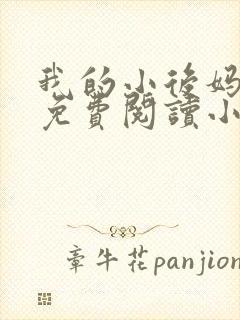 我的小后妈全文免费阅读小说封面