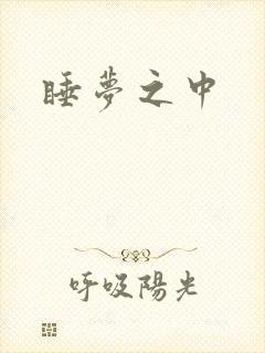 睡梦之中封面