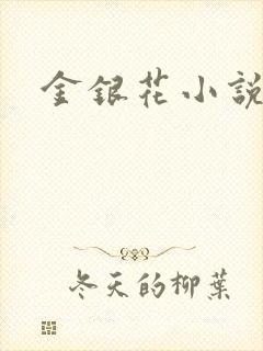 金银花小说乐可