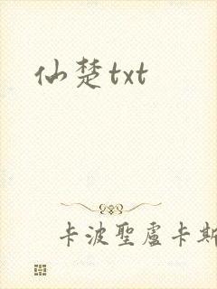 仙楚txt