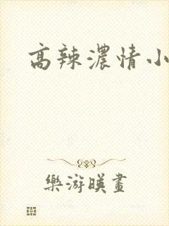 高辣浓情小说