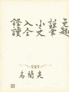 锋入小说免费阅读全文笔趣阁封面