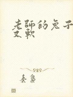 老师的兔子又大又软