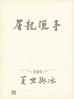 屠龙猎手